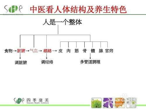 浅析器官移植技术和中医基础理论的关系论文