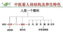 浅析器官移植技术和中医基础理论的关系论文