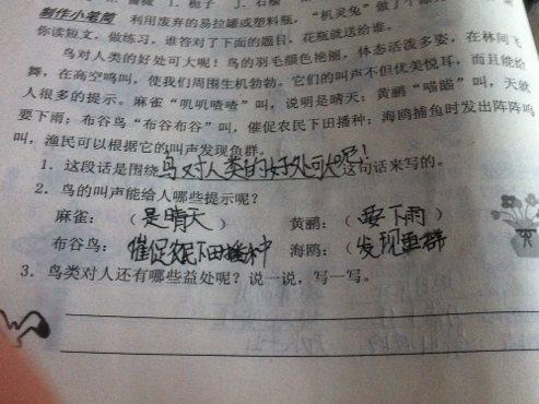 麻雀 描写麻雀的作文300字