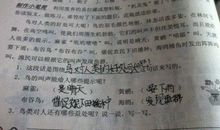 麻雀 描写麻雀的作文300字