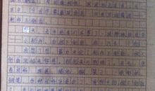 那是一次成功的尝试 六年级记事作文400字