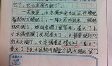 让人自豪的排水口四年级作文