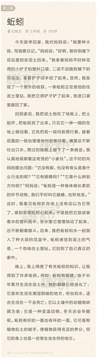 蚯蚓的学生作文