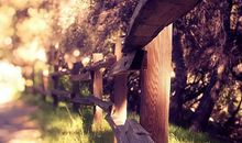 中考满分作文：温暖如阳