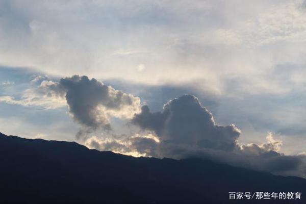 七年级第一次月考,优秀语文作文鉴赏——陪伴 4