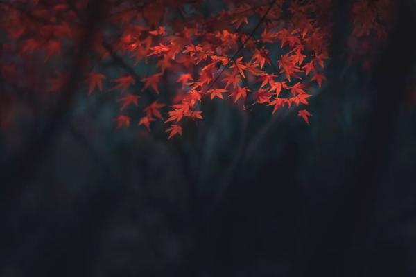 作文常考话题名句合辑，老师再也不用担心我写作文没有名言了！ 2