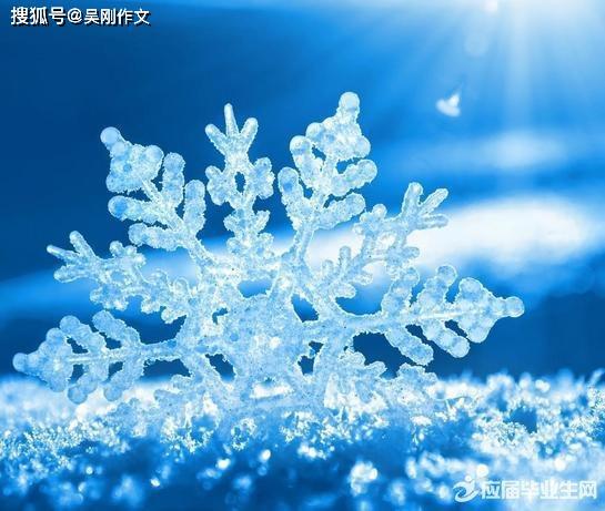 原创 吴刚作文|张文硕《雪花是个乖娃娃》 1