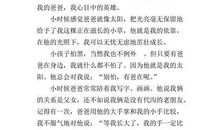 我心目中的英雄350字作文