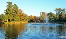 宿老师教作文之传统文化