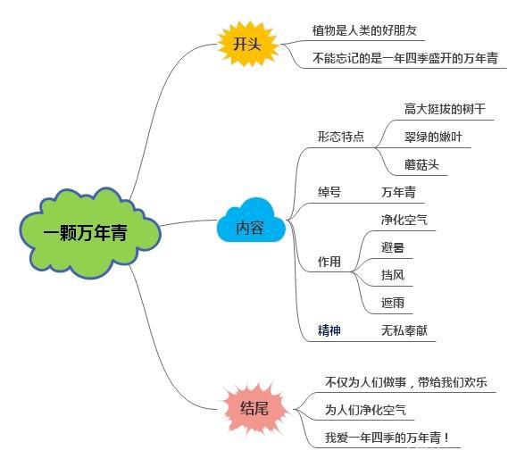 樱桃老师：小学生不会写植物作文怎么办？最全攻略分享给大家 9