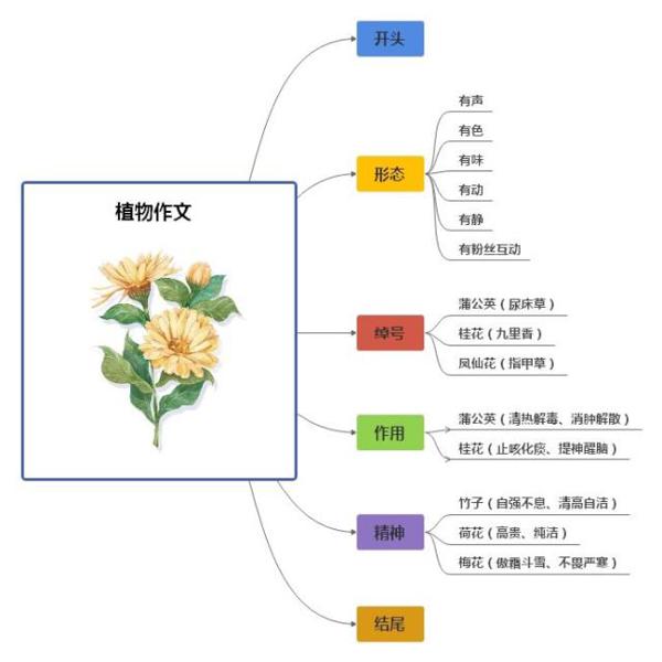 樱桃老师：小学生不会写植物作文怎么办？最全攻略分享给大家 8