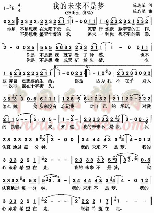 我的未来 我的未来不是梦作文500字