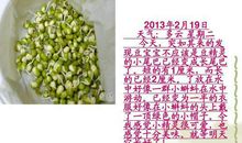 种豆芽 观察豆芽日记一则400字