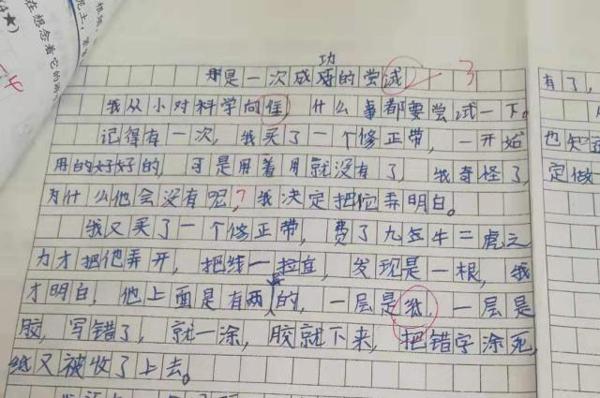 五年级作文:一次——的尝试,爬山爬到哭,老师说有意思 4