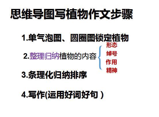樱桃老师：小学生不会写植物作文怎么办？最全攻略分享给大家 7