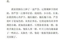 我与芦荟 我的童年作文600字