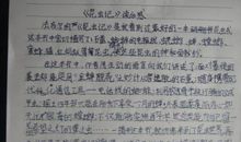 读《面纱》有感 高中生读后感1700字