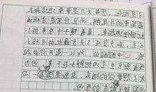 我的爷爷 初中生写人作文300字