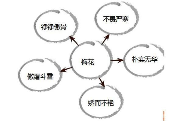 樱桃老师：小学生不会写植物作文怎么办？最全攻略分享给大家 5