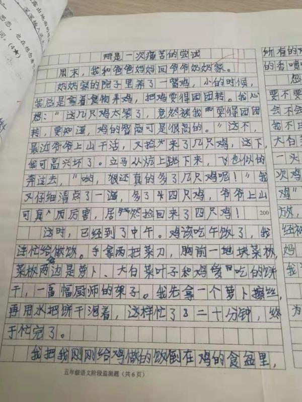 小学生作文:那是一次痛苦的尝试,老师读了却觉得鲜活有趣