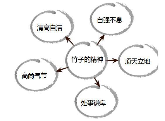 樱桃老师：小学生不会写植物作文怎么办？最全攻略分享给大家 4