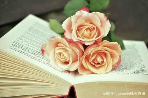姚晨苦口婆心辅导儿子写作文,网友却不买账:你阻碍了孩子想象力 2