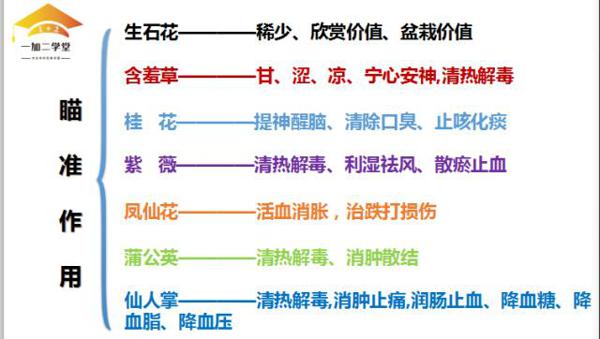 樱桃老师：小学生不会写植物作文怎么办？最全攻略分享给大家 3
