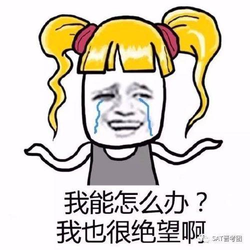 托福作文下降15分，放在谁身上，都会崩溃啊！