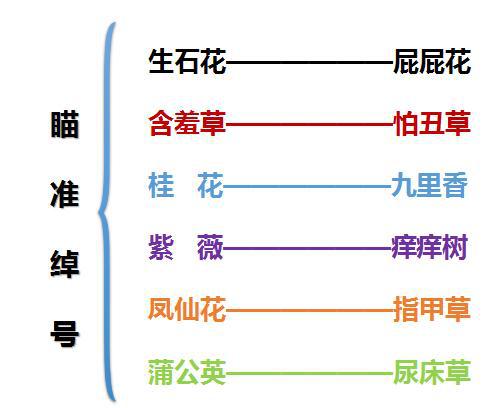 樱桃老师：小学生不会写植物作文怎么办？最全攻略分享给大家 2