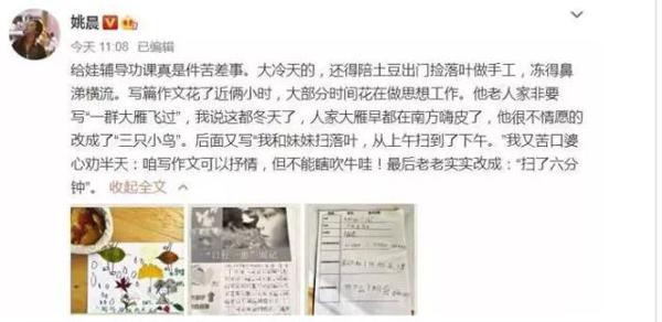 姚晨苦口婆心辅导儿子写作文,网友却不买账:你阻碍了孩子想象力
