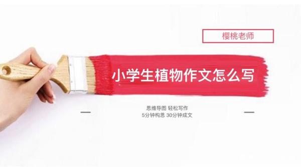 樱桃老师：小学生不会写植物作文怎么办？最全攻略分享给大家