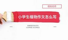 樱桃老师：小学生不会写植物作文怎么办？最全攻略分享给大家