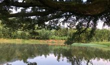 平淡的生活如何过出趣味来？作文反思