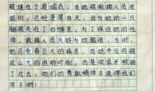 学校运动会的作文350字