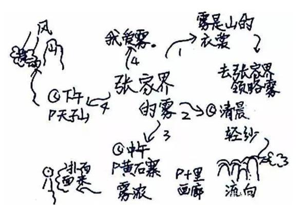 书看了不少,仍写不出像样的作文?孩子缺的不是书,而是思维导向 5