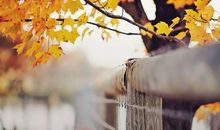 作文素材不知道怎么用？学会这几招，让你成为场上最靓的仔！