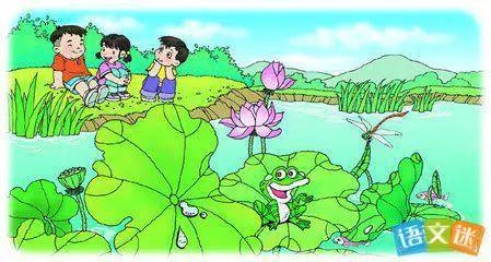 关于荷塘的作文三篇