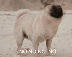 你们关心的英语作文:避免雷区并拿高分,不难! 3