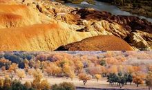 五彩滩 小学生优秀写景作文300字