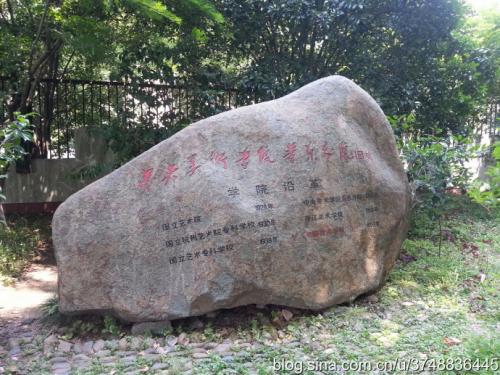 游西湖 春天的西湖作文300字