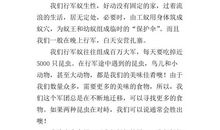 桥 小学生说明文400字