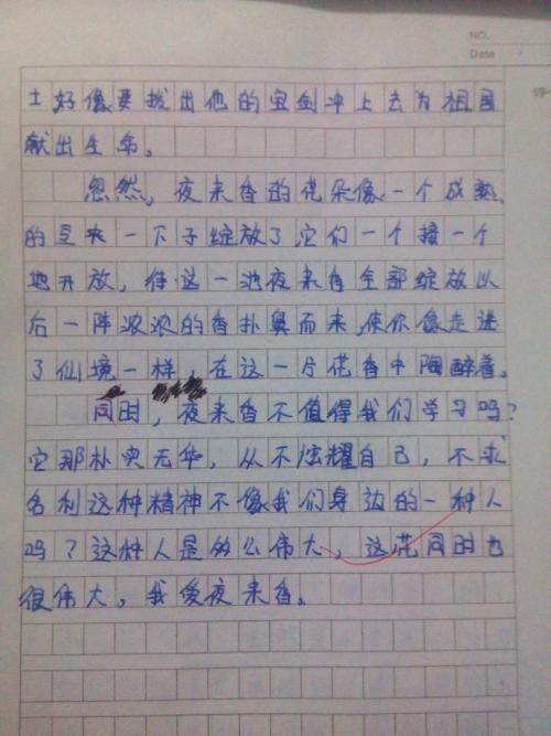 【优秀同步作文推荐榜】乔程俊/旭日教育五年级作文班