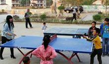 操场的乒乓球赛作文