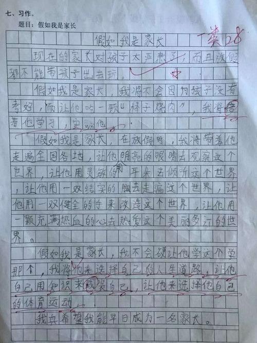 假如我是家长 如果我是孩子500字作文