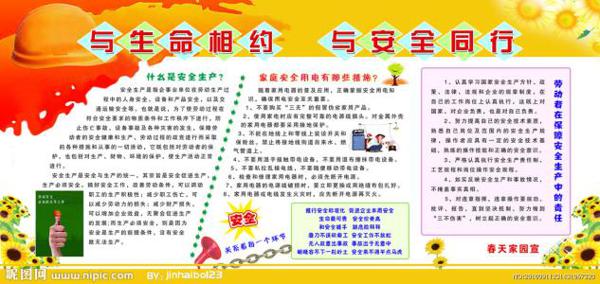 让安全与生命同行 关于安全的作文500字