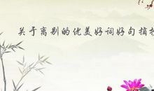 今朝离别后 关于离别的作文800字