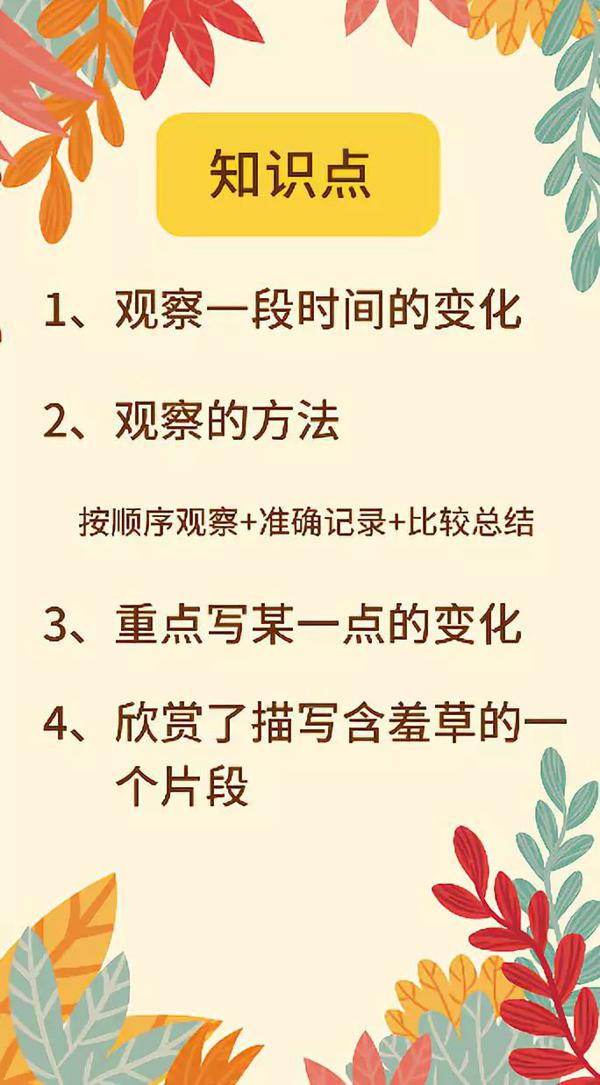 搞定作文-《茶的变化》 3