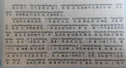 描写秋天的初中作文五篇