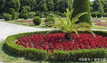 初中原创作文点评：《冰镇可乐》，欲扬先抑，赞美亲情