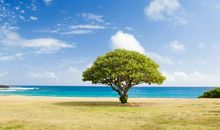 原创 作文开头的16种妙法，让你写作文如有神助